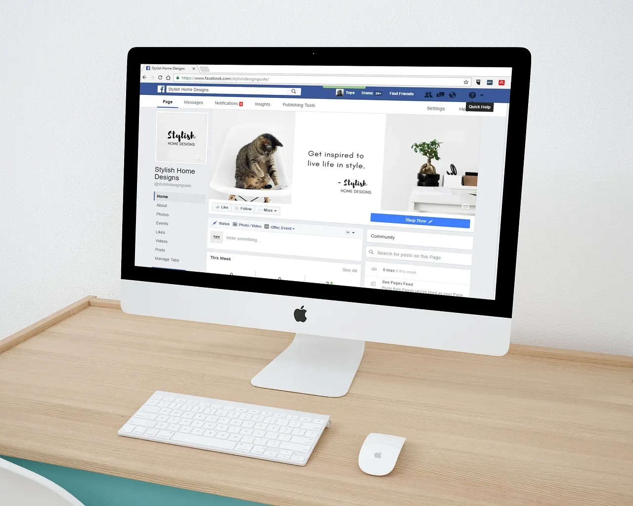 A keresőmarketing szakértő szerepe a digitális világban
